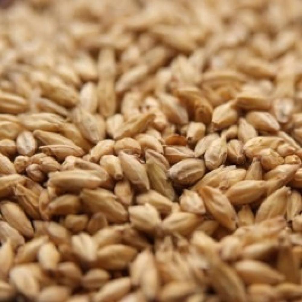 Rahr 2-Row Brewers Malt 5 lb