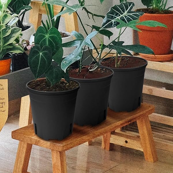 Macetas,16.2cm 5pcs Plantador Plastico con Orificio de Drenaje, Control de Raíces, para Plantas de Bonsái de Interior Exterior Jardín - Negro - 4
