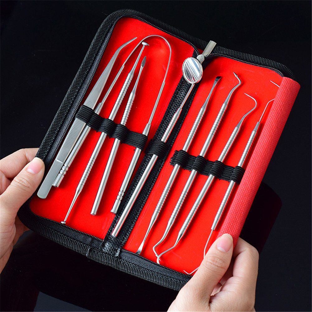 9Pcs Stainless Steel Dental Tools Dentist Teeth Clean With Leather Case
