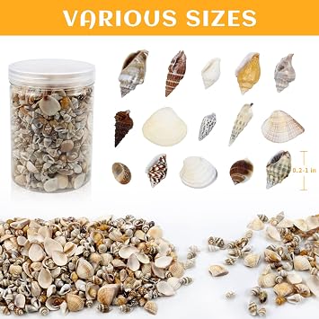 1500 Pcs Small Shells for Crafts,Small Sea Shells for Crafting,Mini Seashells Bulk for Decorating,Assorted Tiny Seashells for Resin,Home Decorations, Beach Theme Party, Candle Making, Wedding Decor