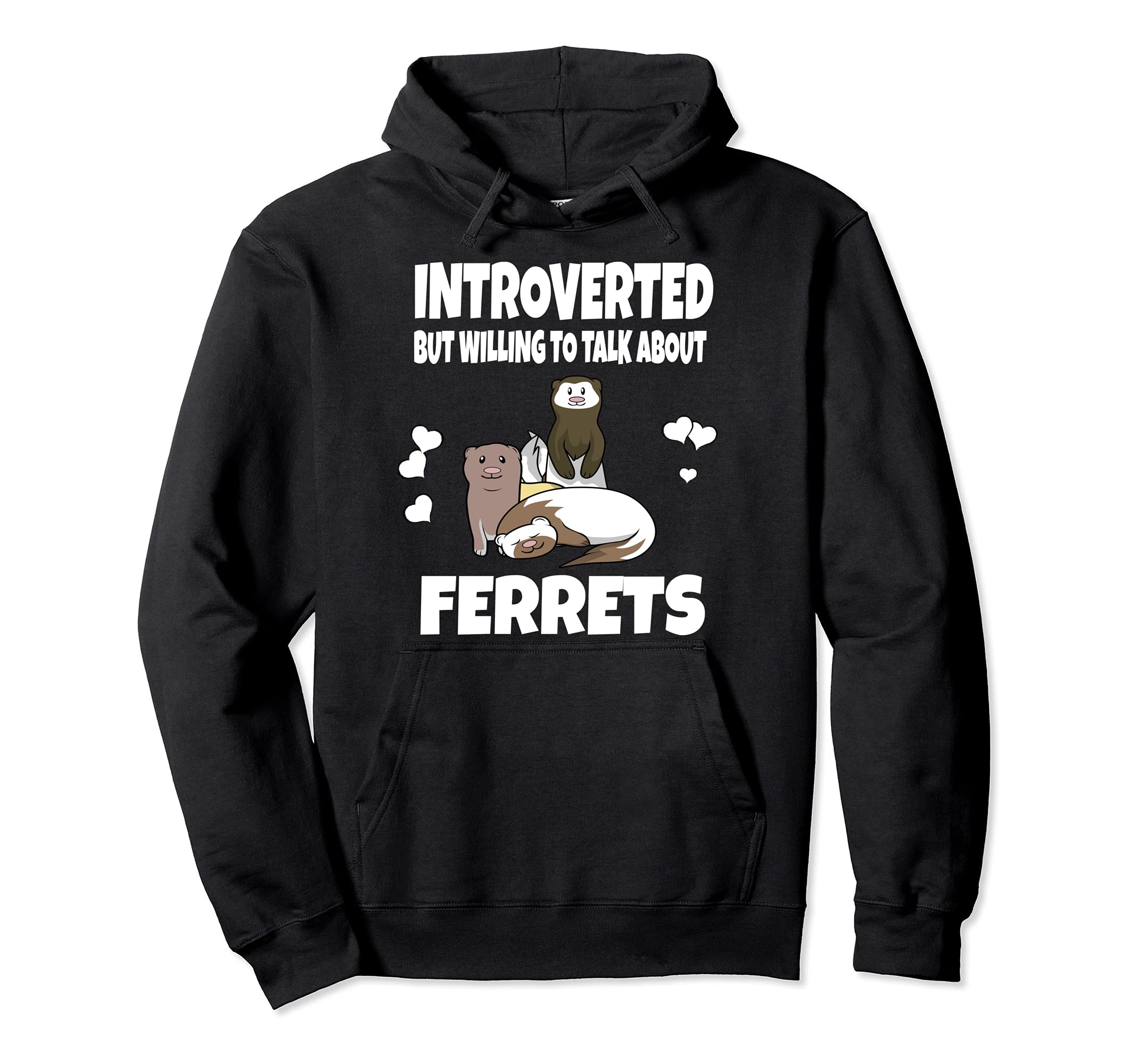 Introverted But Willing To Talk About Ferrets Animal Pullover Hoodie, Black