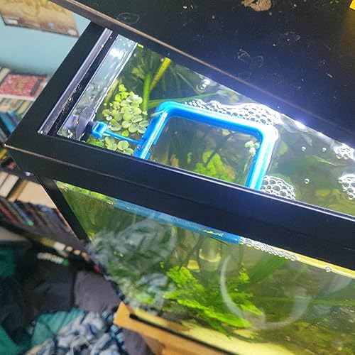 Vista 10 de Anillo de alimentación de peces Círculo flotante de alimentador de alimentos con ventosa acuario fácil de instalar (redondo)