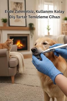NPO M1 5MP Kameralı UV'li 5 Modlu Ultrasonic Tartar Plak PET Diş Temizleme Cihazı