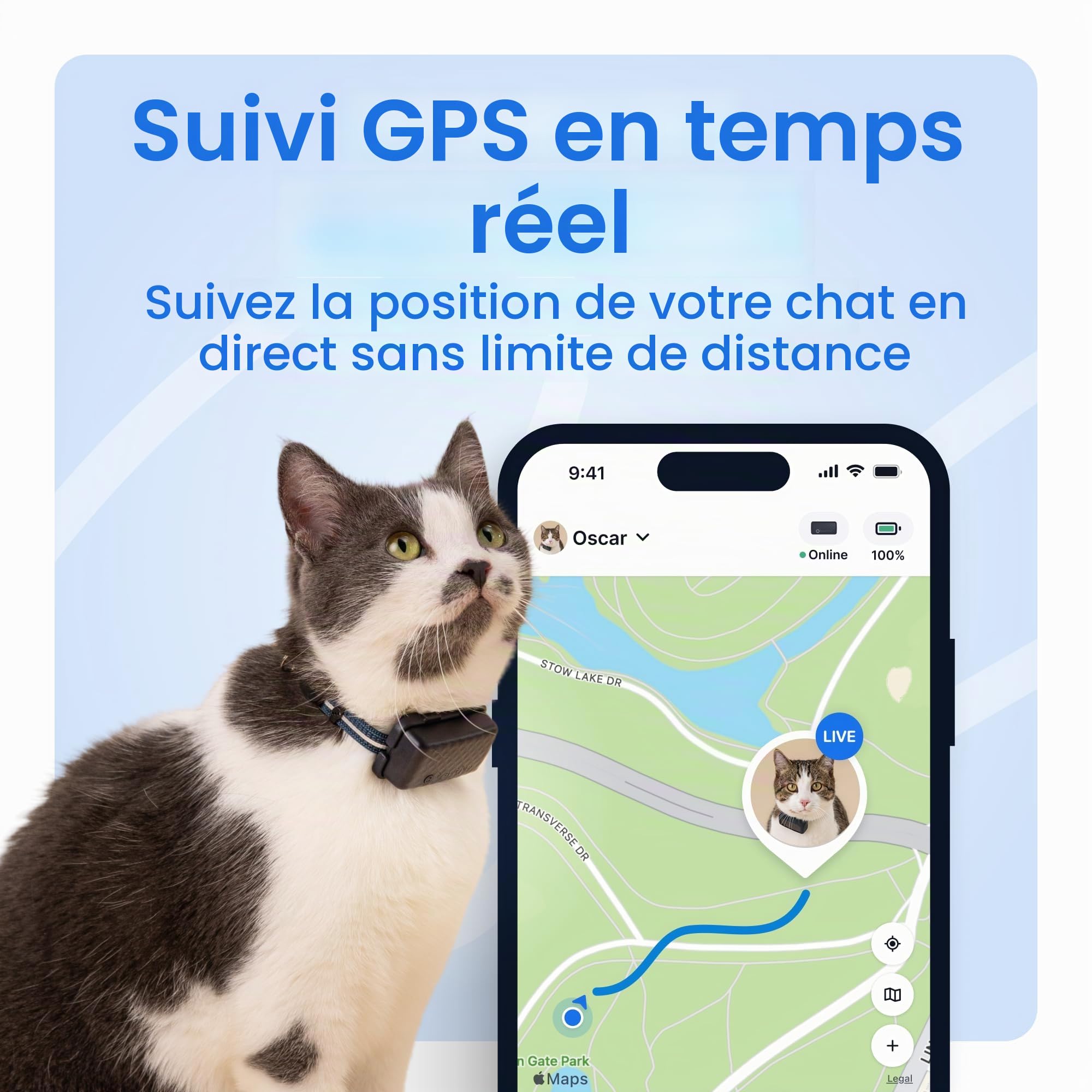 Tractive Collier de Suivi GPS Intelligent pour Chat | Localisation en Temps Réel et Surveillance de la Santé pour Chats de 2,9 kg et Plus | Historique du Territoire et de la Localisation | Batterie