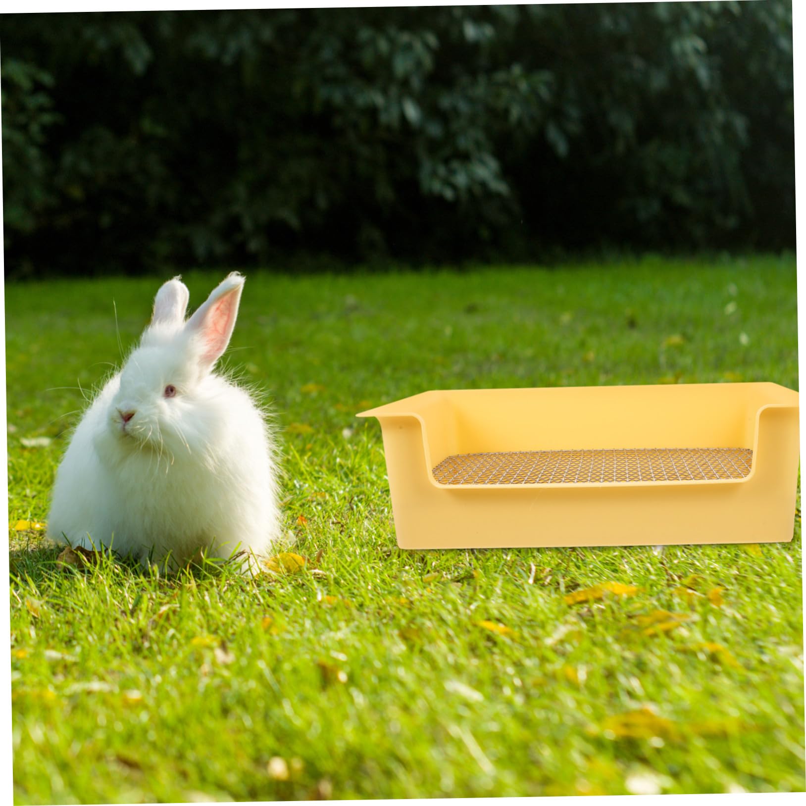 Lettiera per Conigli e Animali con Rimovibile Vasino Truciolo per Criceti e Porcellini d Quadrata Antigoccia per Addestramento Dwarf Rabbit