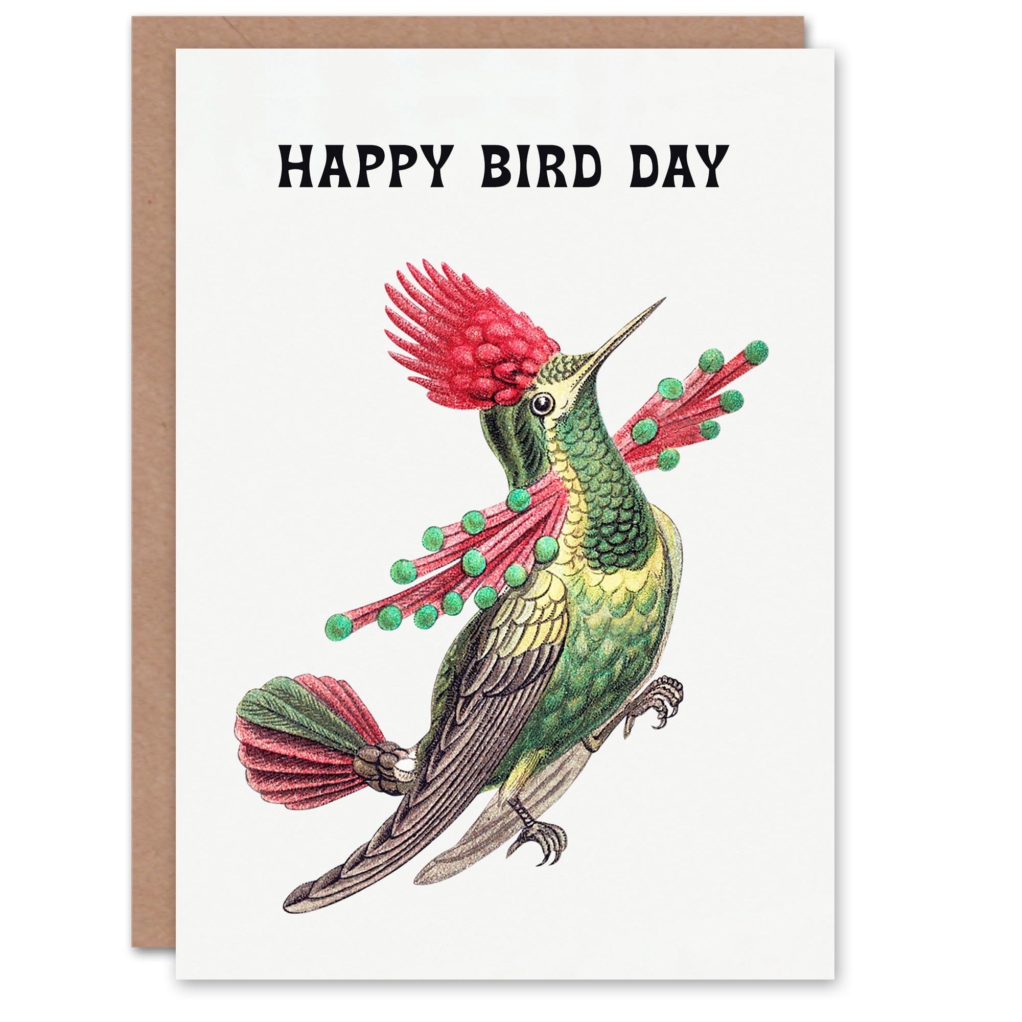 Artery8 Ernst Haeckel Birthday Card Hummingbird Vintage Illustration Bird Pun