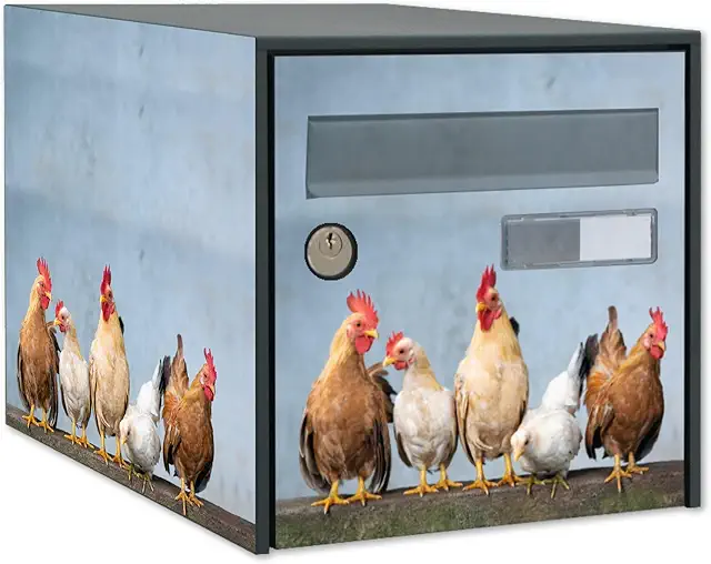 Stickers Boîte aux Lettres Poules - Décoration Vinyle Personnalisable