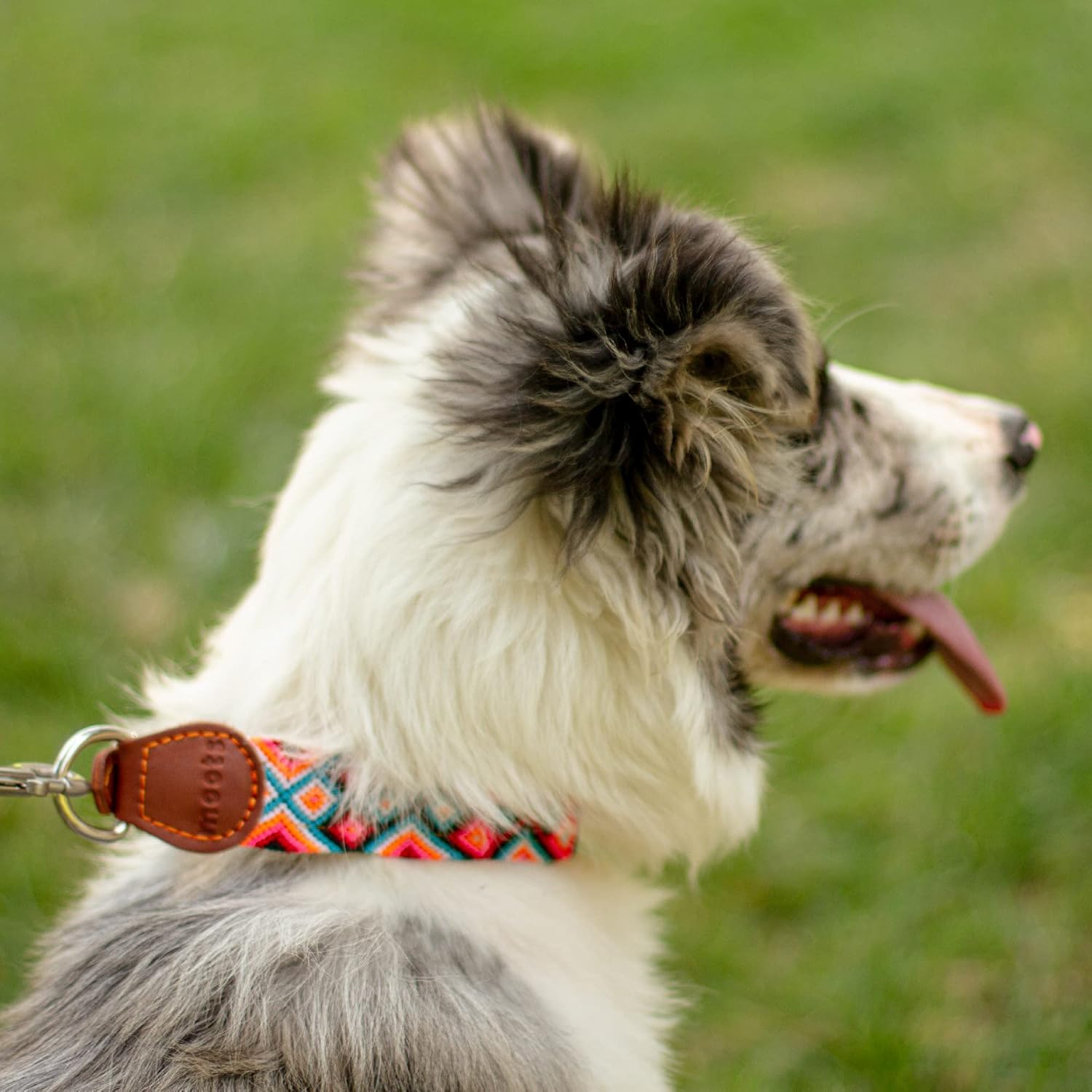 Moots Root Hand-Knitted Leather Pet Collar Pink Medium ART110M : Everything Else