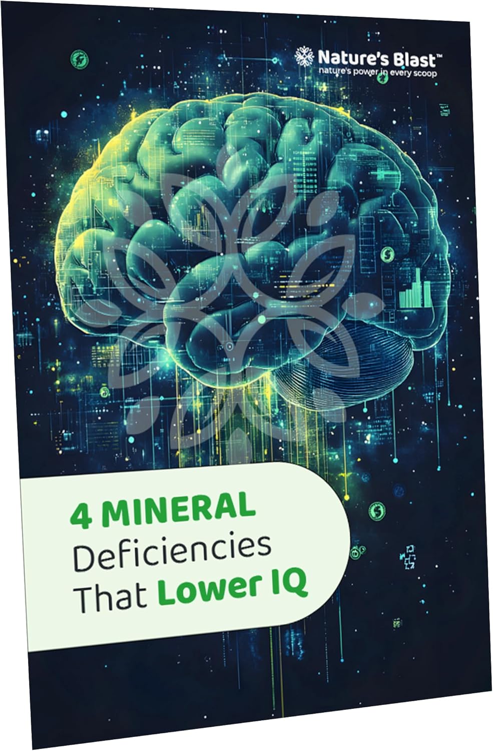 Liver 360 Gluco-Powder with ebook