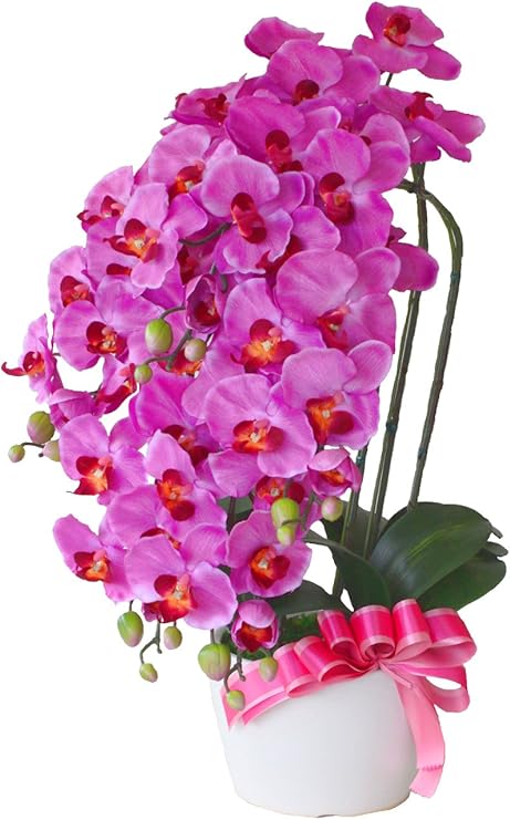 Amazon Co Jp 山久 造花 シルクフラワーの胡蝶蘭 5本立ち シルクフラワー ラベンダー 0811 39 鉢白 Ct触媒加工 新築祝い 開店祝い ギフト プレゼント ホーム キッチン