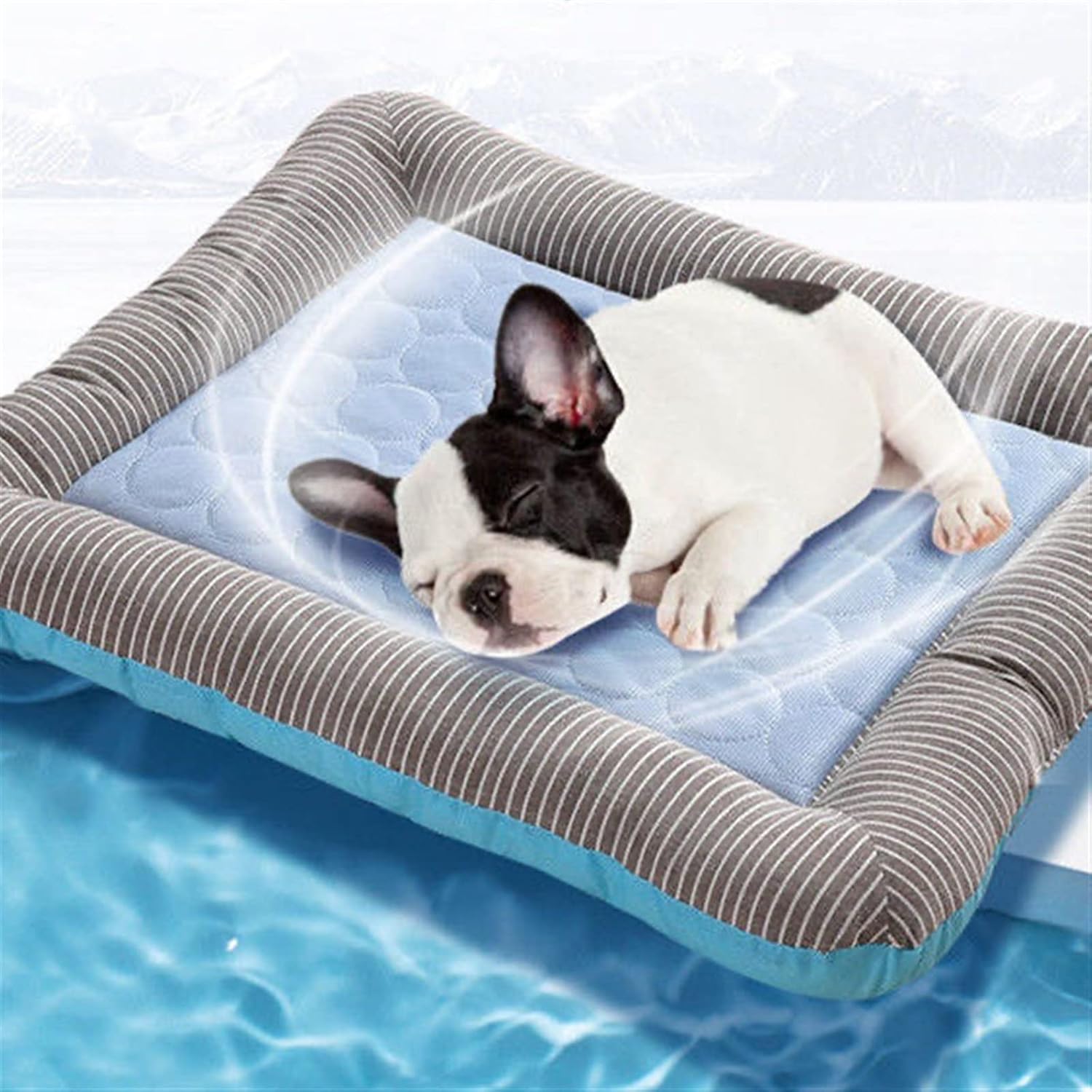 Pet Beds Washable for Large Medium Small Pets Sleeping Cool Dog Mats for Food and Water Anti Slip (Color : Pink, Size : M 54x43cm) (Blue L 70x52cm)