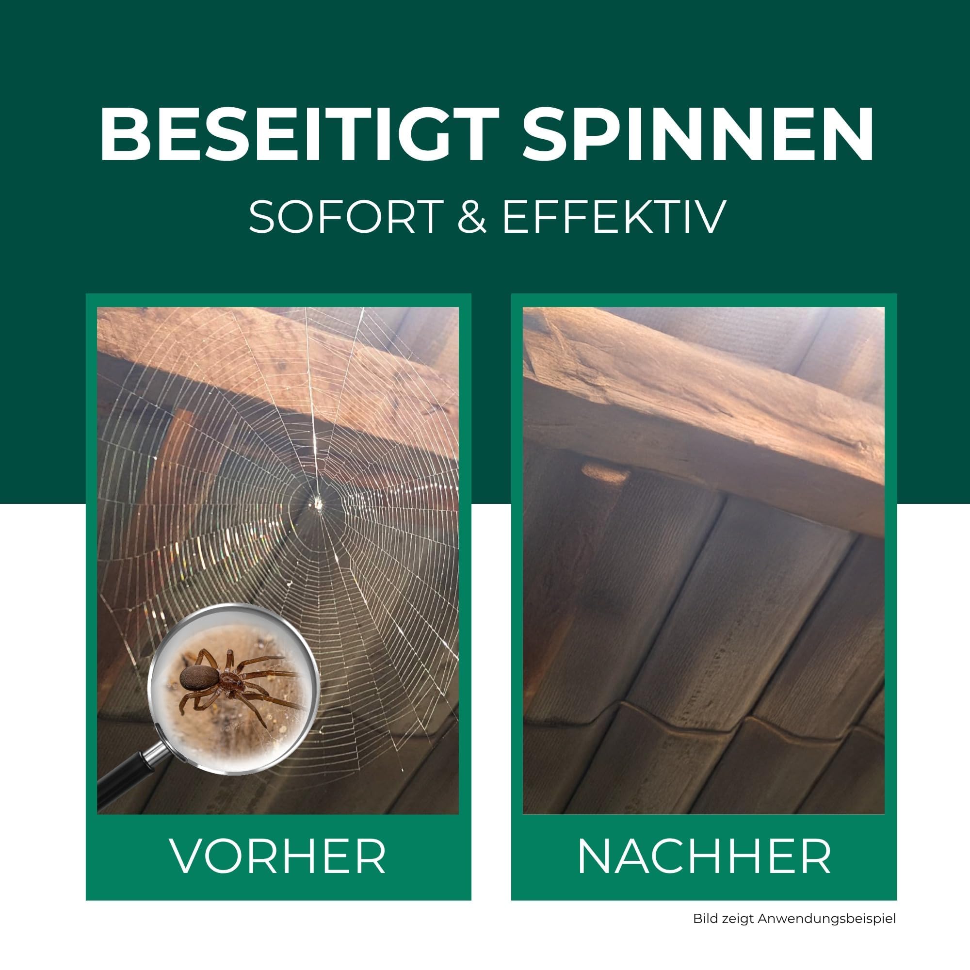 Silberkraft Spinnenspray 500 ml - Hochwirksames Spinnenabwehr-Mittel mit Sofortwirkung gegen Spinnen - Anti-Spinnenspray für Innen & Außen - Spinnen dauerhaft vertreiben - laborgeprüft