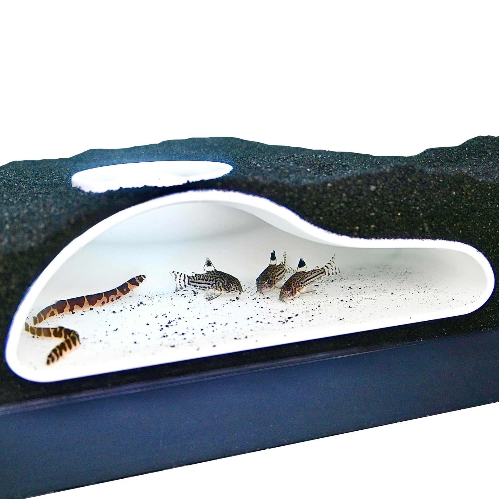 Aquarium