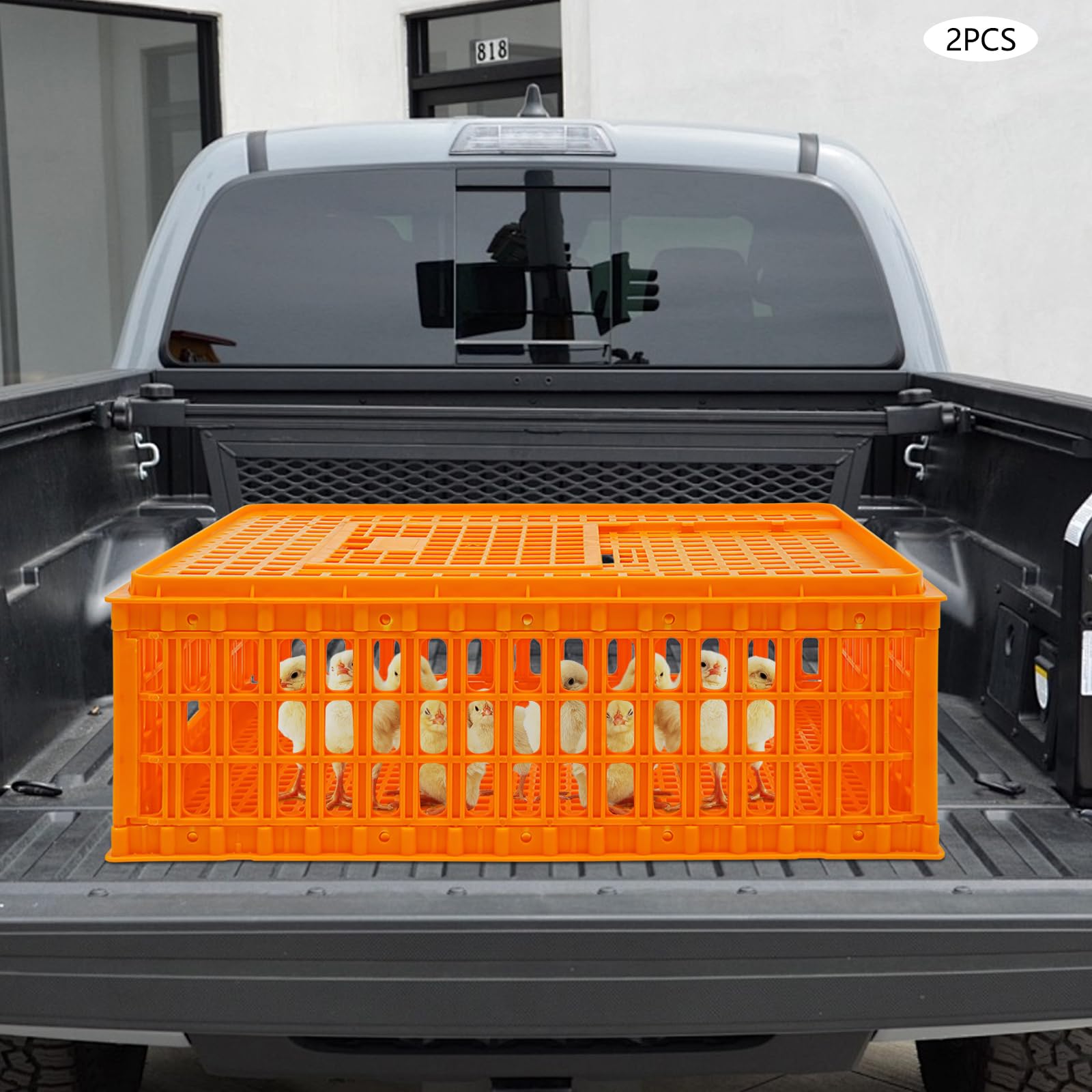 Transportín para aves de corral, 2 unidades, capacidad de carga de 200 kg, para pollo, pájaro, pato, ganso, 77 x 55 x 27 cm
