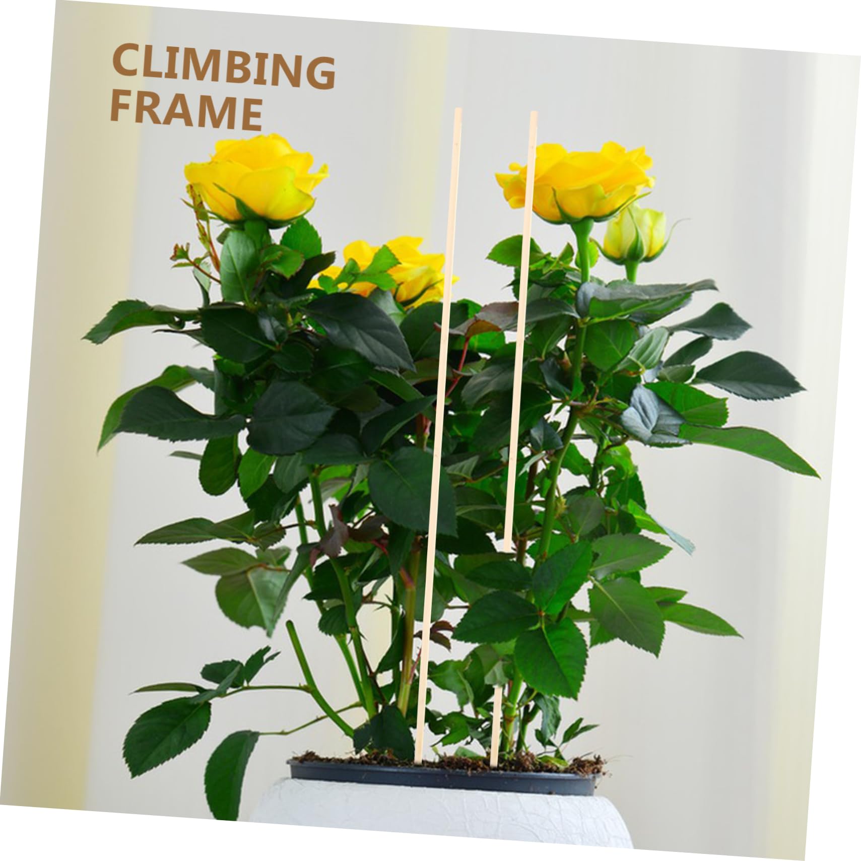 Abaodam 5 Ensembles Piquets pour Plante Grimpante Rester Plante Poteau Escalade Forme Soutien Plantes D'intérieur Enjeux Stand De Plante À L'intérieur Bois 20 Pièces * 5