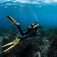 Vista 4 de Aqualung Phazer Adj Aletas