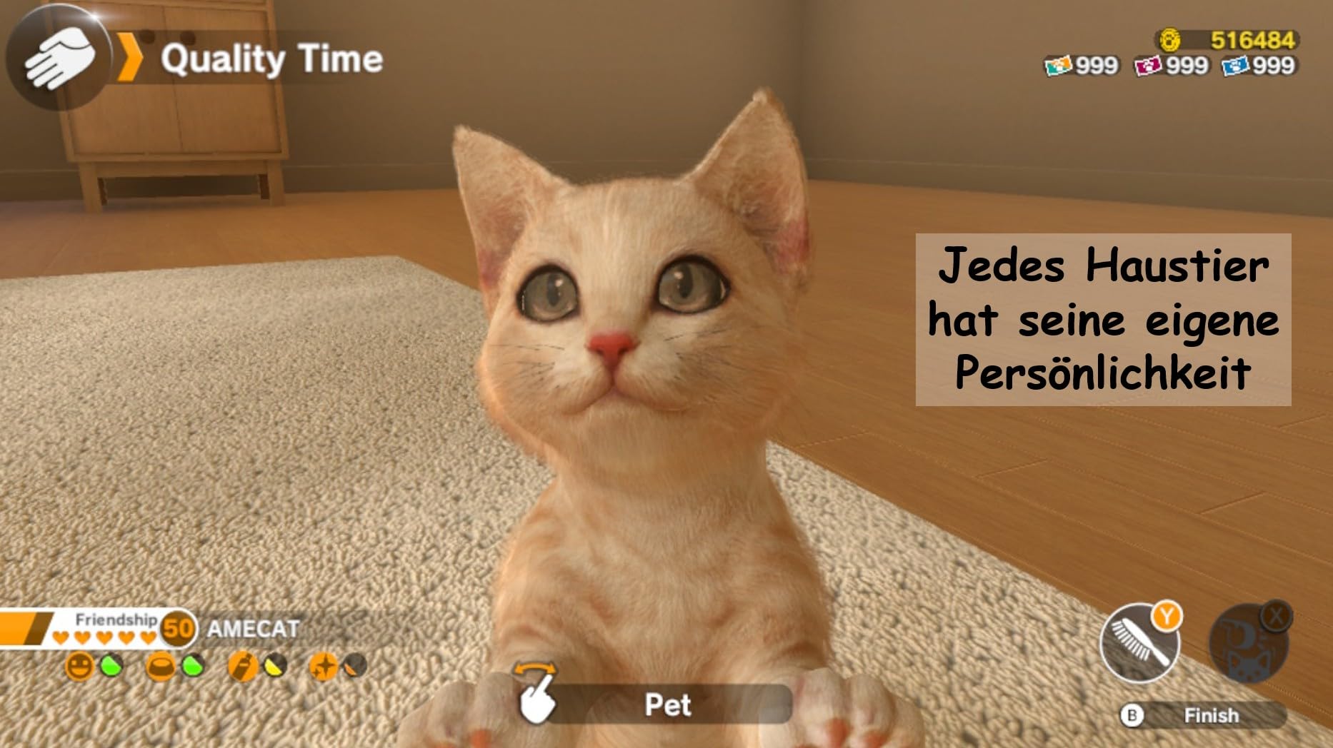【任天堂Switch】LITTLE FRIENDS: DOGS & CATS Little Friends: Dogs & Cats - [Nintendo Switch] : Amazon.pl