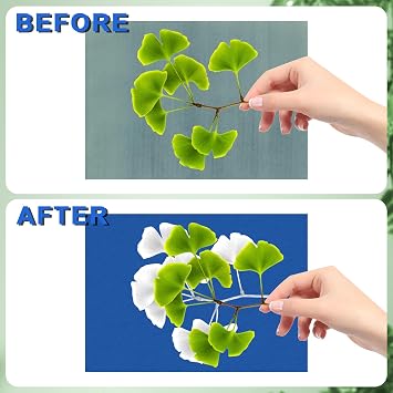 30 Sheet A4/A5/A6 Cyanotype Printing Paper, High Sensitive Sun Print Paper