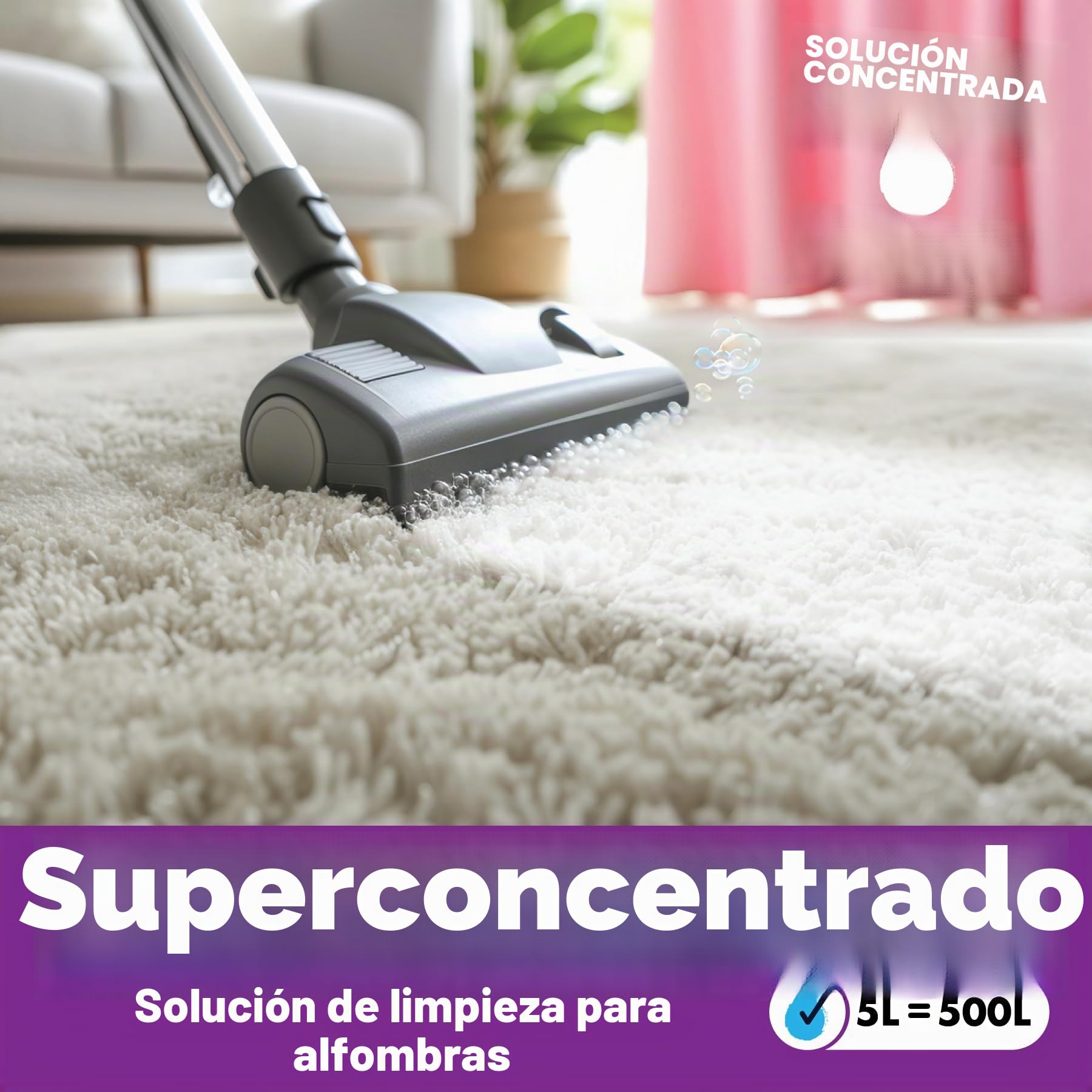 Dirtbusters Limpiador Concentrado de Moquetas, Alfombras y Tapicería para Mascotas. Elimina Manchas y Olores de Orina y Heces. Apto para Máquinas de limpieza. Aroma a Camomila y Geranio. 1 x 5 Litros