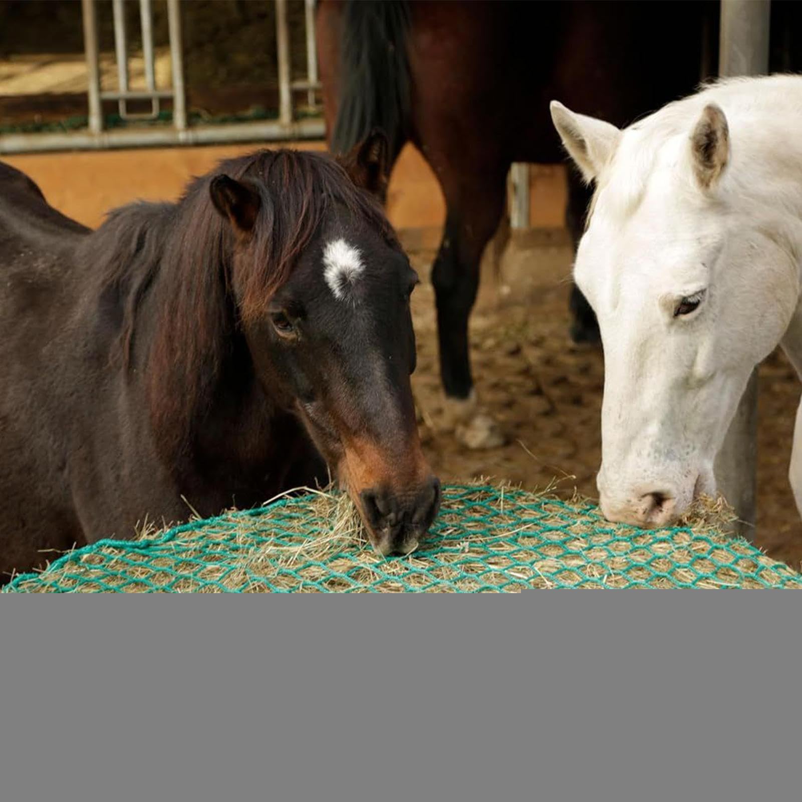 Red de Heno para Caballos Organizador de Alimento para Ovejas | Bolsa De Alimento Para Ganado para Cuadras Corrales Granjas Ranchos Escuelas de Equitación y Entrenadores