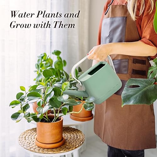 Miniatura 2 de Regadera pequeña, regadera para plantas de interior con boquilla larga extraíble y asa, regadera de plantas para plantas de casa, flores, jardín,