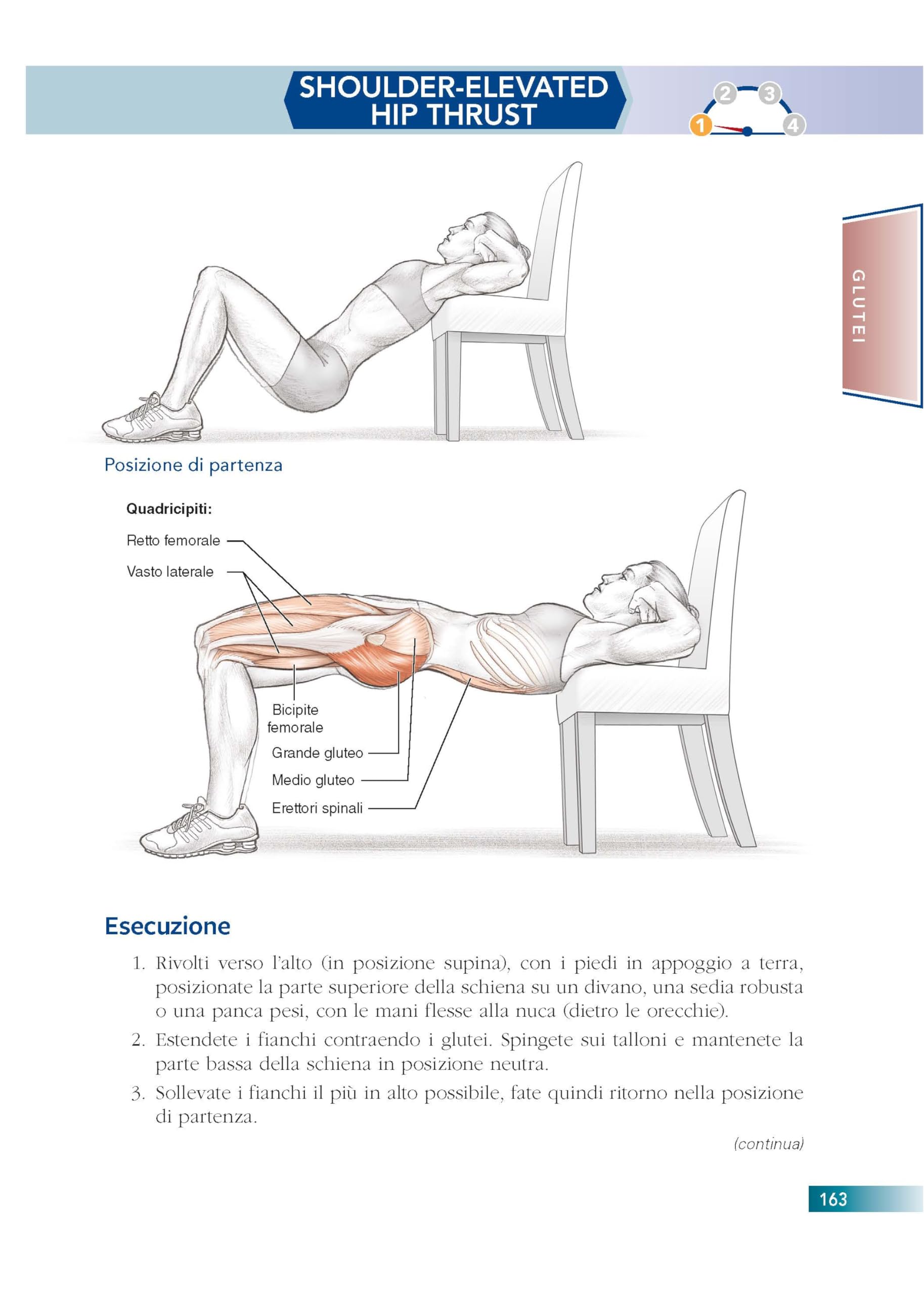 Allenamento a corpo libero. E anatomia umana