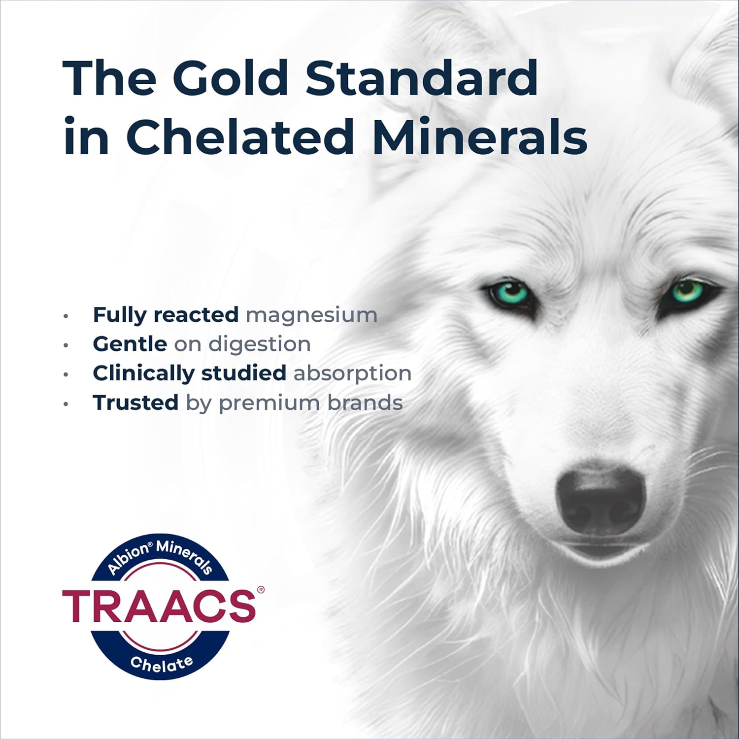 Magnesium Bisglycinate Chelate 200mg – Albion® TRAACS® Unbuffered Formula – Gentle on Stomach, High Absorption – 120 Capsules – Rational Nutrition