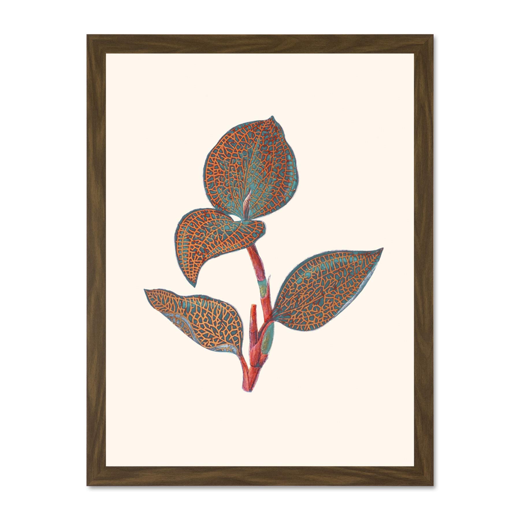 Wee Blue Coo Primary Coloured Exotic Flora Large Brown Framed Art Print Wall Poster 18x24 inch
