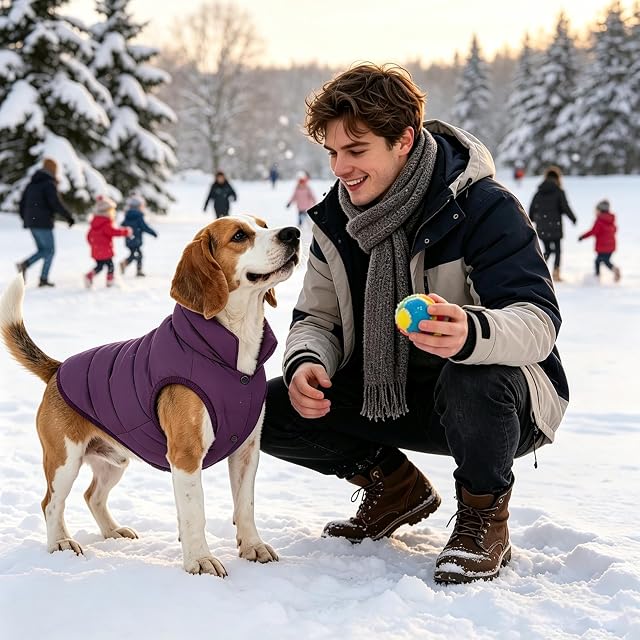Foto 2 de 6 de PETCUTE Chaqueta para Perros,Chaqueta de Perro con Forro Polar de 2 Capas,A Prueba de Viento Ropa para Perros…