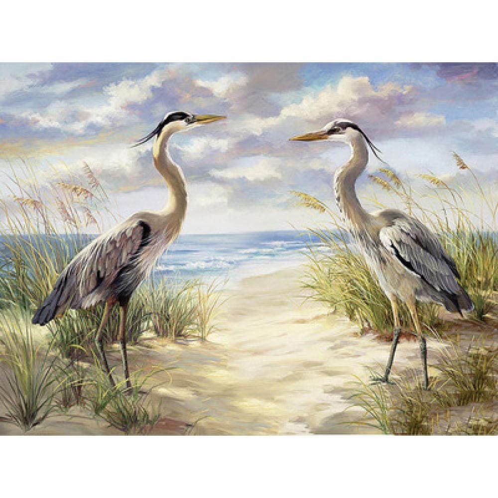 Peinture diamant 5D cadeau créatif tableau mosaïque oiseaux en résine 30x40cm