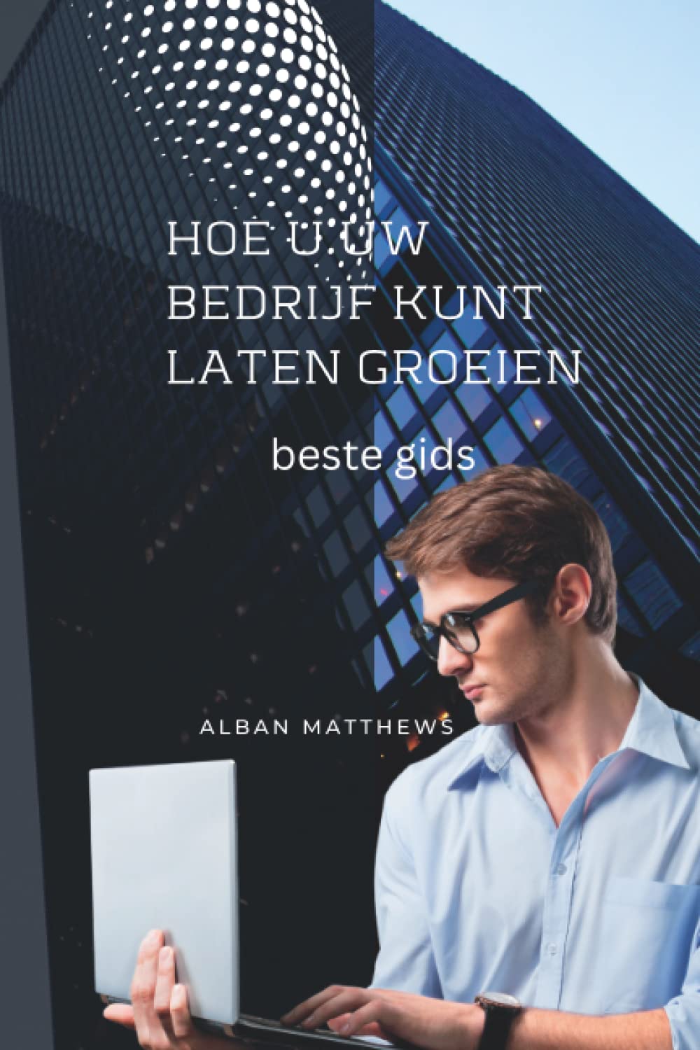 hoe u uw bedrijf kunt laten groeien: beste gids (Dutch Edition)