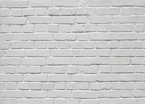 SJOLOON White Brick Wall Backdrop Brick Photo Background for Birthday