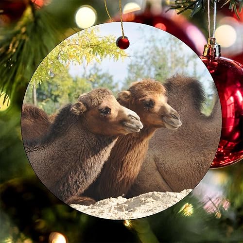 Miniatura 8 de Adornos colgantes de Navidad, adornos de camello de animales silvestres, recuerdo festivo de cerámica, relleno de calcetín de Navidad para tío,