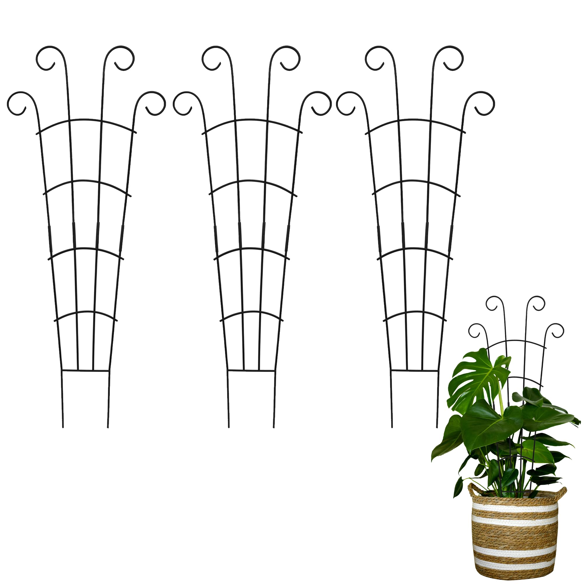 30 Inch Trellis for Climbing Plants Indoor 3 Pack Indoor Plant Trellis for Potted Plants Metal Garden Trellis for pots Indoor Outdoor for Monstera Pothos Vine Ivy Hoya(30inch Black)