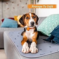 Vista 6 de Almohadillas lavables para orina para perros, paquete de 2 almohadillas reutilizables para cachorros, almohadillas absorbentes para parto