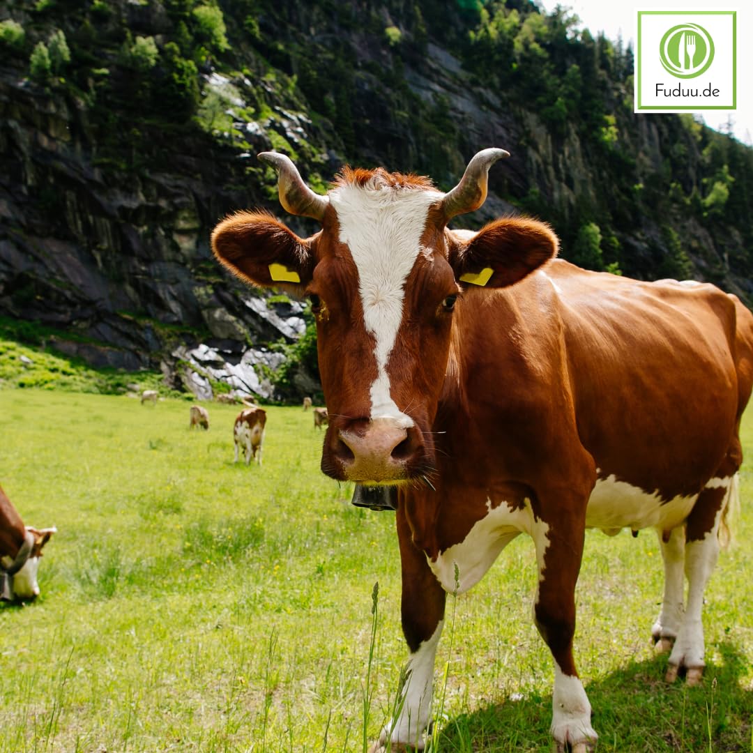 Schwarzwaldmilch Bioland H-Milch 1,5% Fett – Fettarme Bio H-Milch, haltbar, 12 x 1L – regionale Qualität aus dem Schwarzwald | powered by Fuduu.de