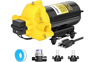 Fully Self-Priming Pressure Water Pump for Home or Recreational Use