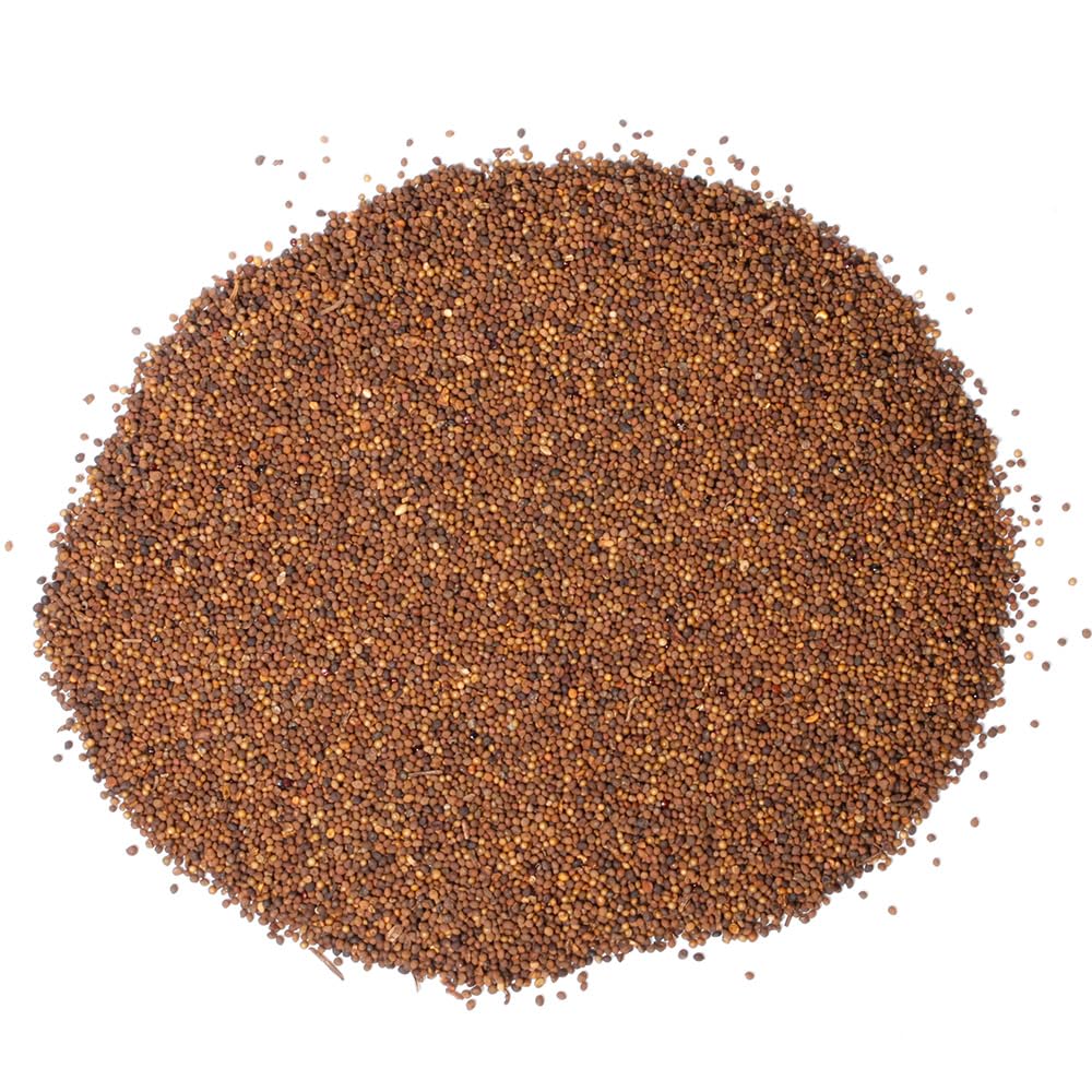 Hapsmiley Dodder Seed (Cuscuta Chinensis/Tu Si Zi/菟丝子) Dried Bulk Herbs – 3.5 oz (100g) - Image 3