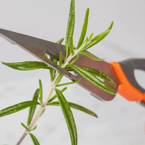 Miniatura 5 de Mobi Super Tijeras, tijeras multiusos para el hogar