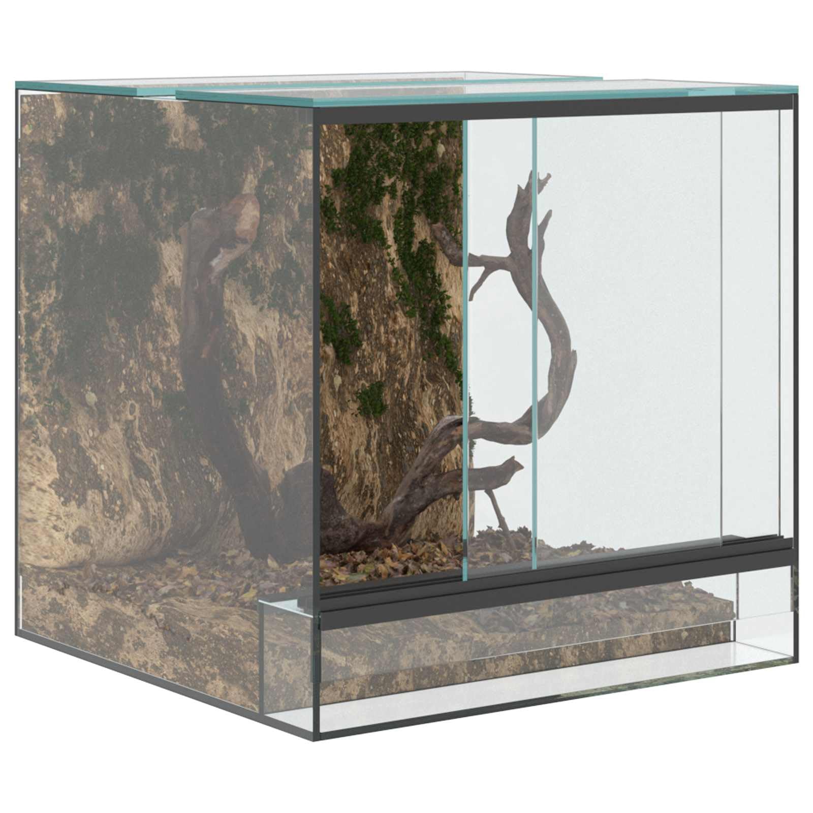Hábitats para reptiles y anfibios 30 x 30 x 30 cm Cristal,Producto para mascotas y animales,Productos para mascotas,Productos para reptiles y anfibios,Terrarios para reptiles y anfibios-42020387
