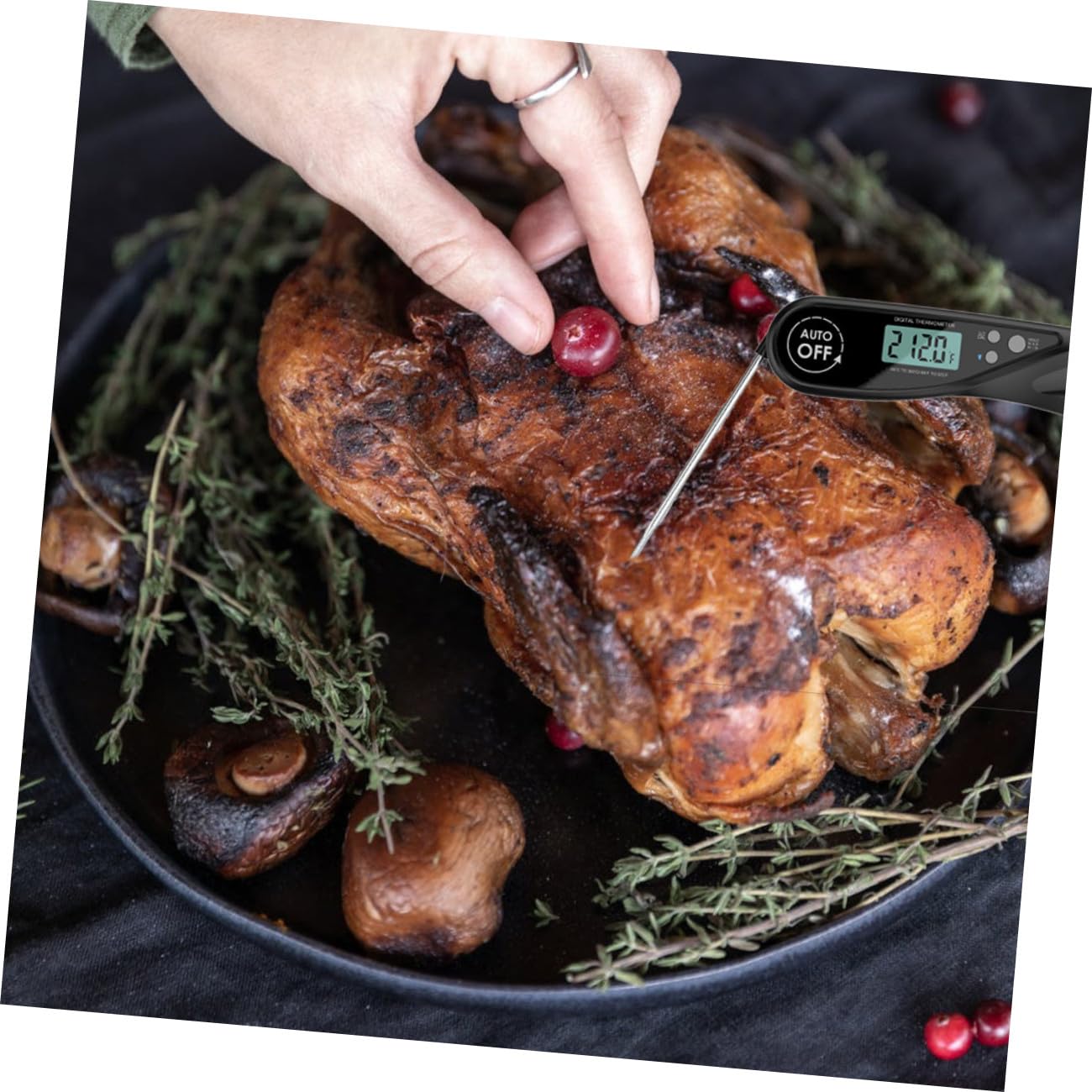 Cabilock 3 Piezas Termómetro De Barbacoa Termómetro Para Carne Freír Parrilla De Comida Termómetro De Alimentos Termómetro Digital Termometro De Carne De Cocina Abdominales Black