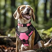 Vista 2 de Joytale - CCollar reflectante para perro, collar de nailon transpirable con acolchado de neopreno suave para mascotas, ajustable para perros Rosado