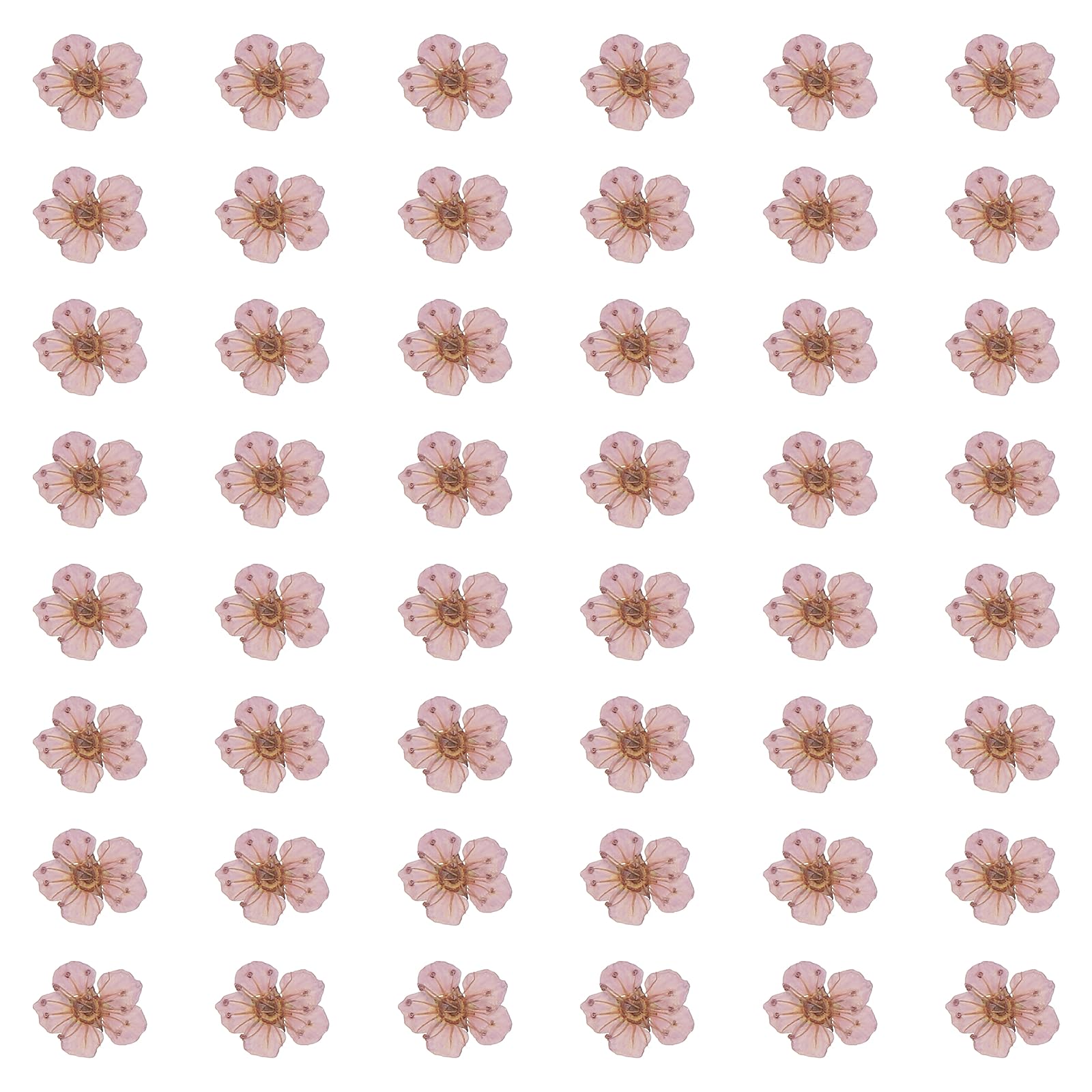 sourcing map 100Pcs Dried Pressed Flowers, 0.24-0.31" Colorful Dried Pressed Narcissus Flowers Bulk for Nail Art Resin Jewelry Candle Card Making Scrapbook Phone Case Decoration, Light Purple