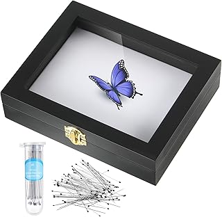 Insect Display Case Box Collection Box with Clear Top, EVA Foam Pinning Board and 100 Pieces Pins Insect Shadow Box Kit Entomology Supplies for Collecting Butterfly Specimen (Black)