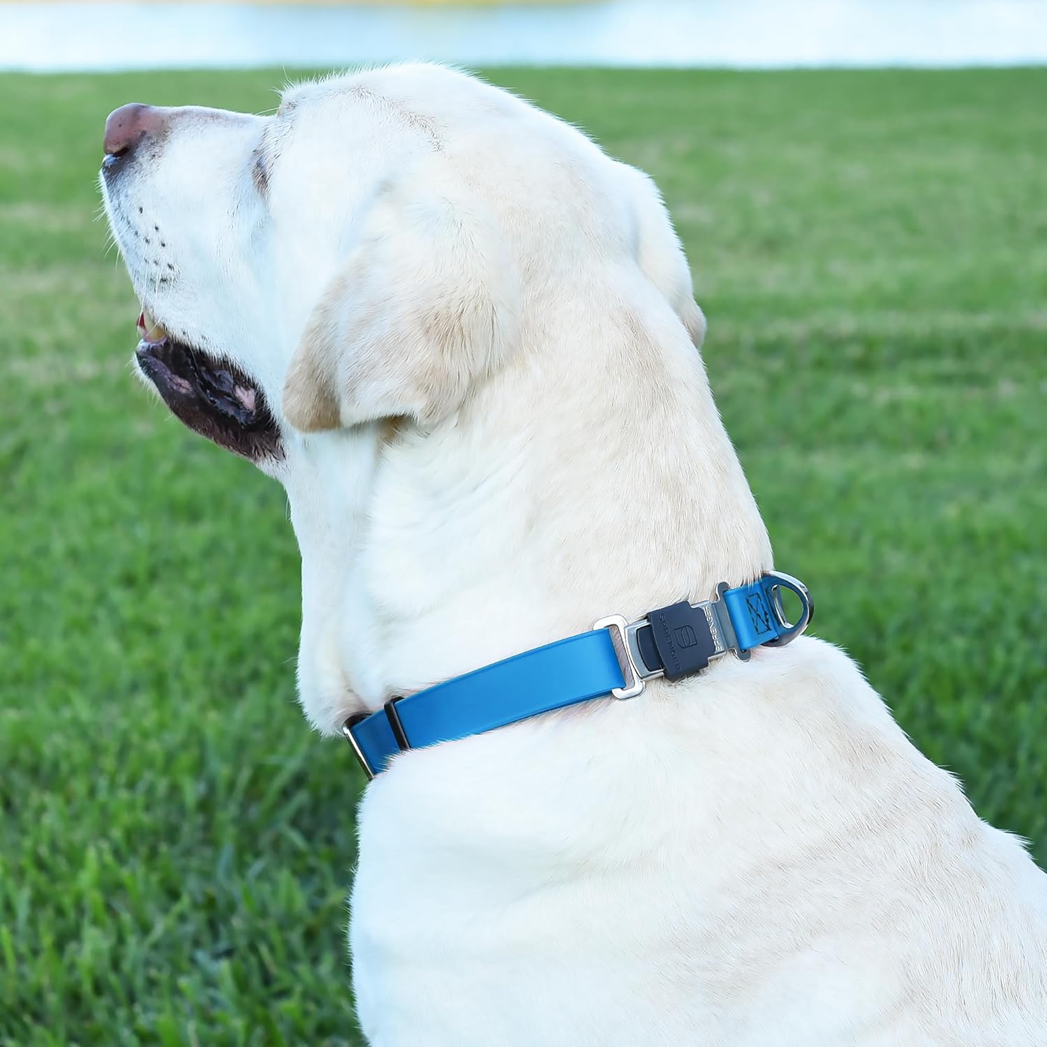 Dogline Biothane Waterproof Dog Collar with Herm Sprenger Stainless Steel Quick Release Buckle – Heavy Duty Tactical Durable Collar for Dogs – Comfortable and Safe Pet Collar, W 1" L 15-25", Blue