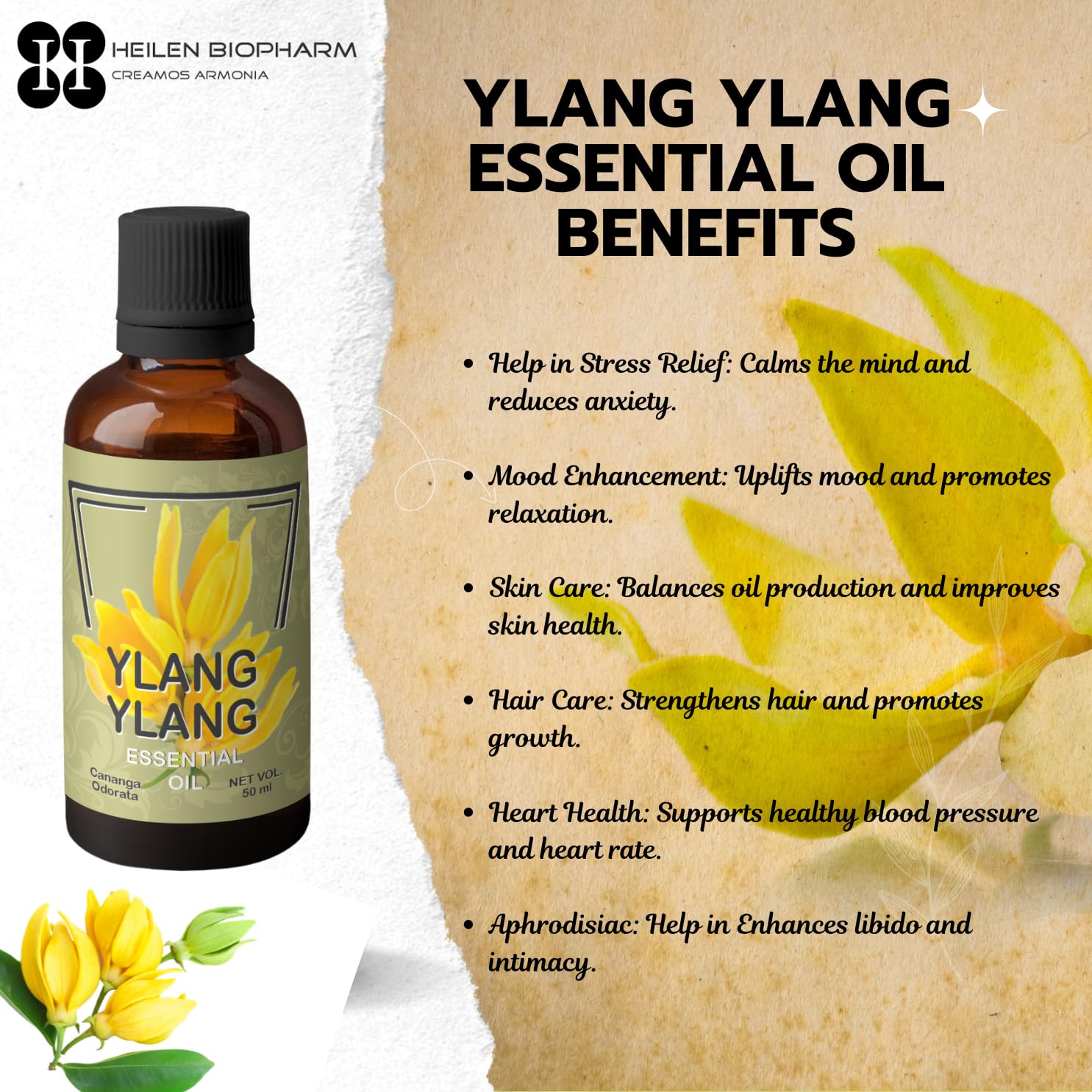 Heilen Biopharm Ylang Ylang Essential Oil - 50 mL Bottle Pack of 1 For Skin Care & Aromatherapy 5 71JPJS2WvOL. SL1485