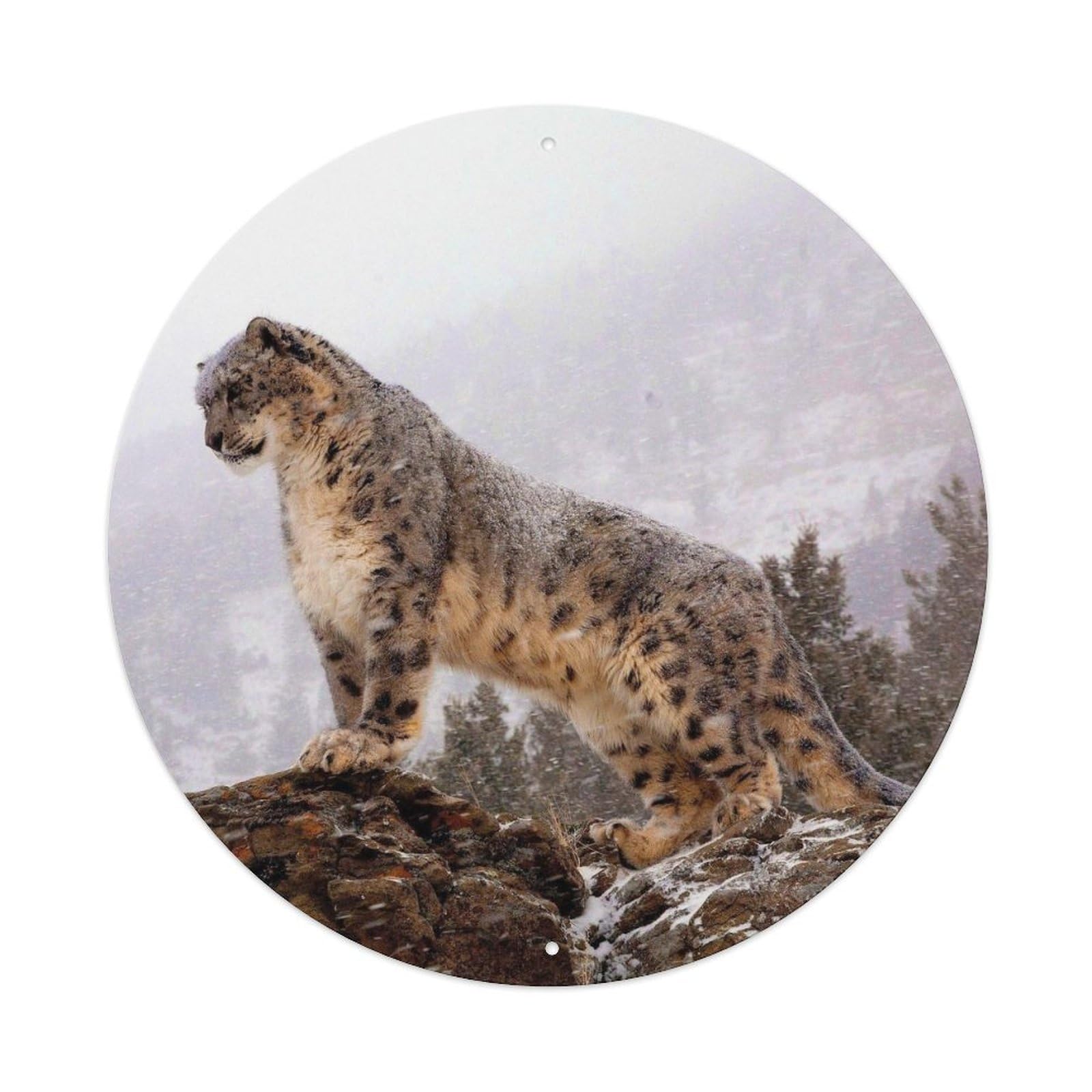 Animal Fierce Snow Leopard Vintage Metal Tin Sign Plaque Wall Decor for Cafe, Club, Garden Round Metal Poster 8x8Inch