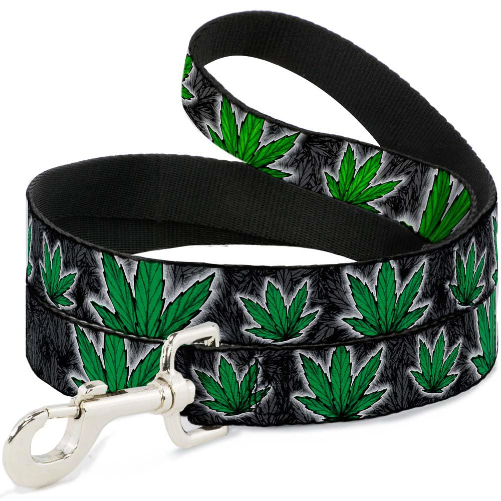 Laisse pour chien noir large Buckle Down sangle nylon grand chien