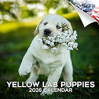 Vista 220 de Razas de Perros 2017