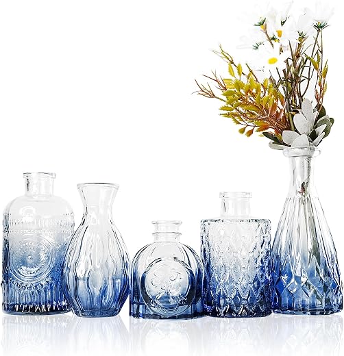 Nostrae by Ekhasa 100% Crystal Clear Glass Bud Vases Flower Pots for Home Decor (Set of 5) | Center Table Mini Decor Items...
